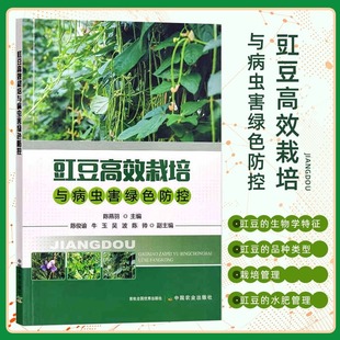 豇豆水肥管理豇豆病虫害识别发生防治无公害生产技术豆类蔬菜种植豇豆栽培种植书籍 豇豆高效栽培与病虫害绿色防控 新华正版