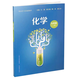 化学 9上项目学习实验教材