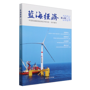 蓝海经济.第4辑
