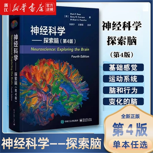 正版神经科学 探索脑 第4版 中文版 感觉和运动系统 朱景宁 王建军主译 精装 电子工业出版社 人体经解剖学图解指南教材教程书