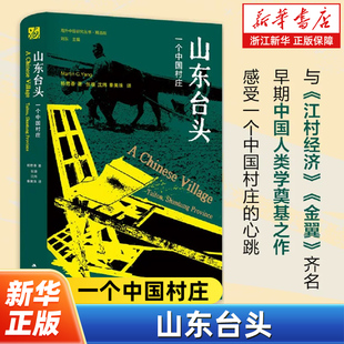 山东台头:一个中国村庄 杨懋春著 海外中国研究丛书精选版第四辑 读懂中国基层社会的传统文化与逻辑 江苏人民出版社
