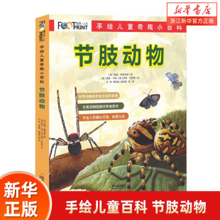 全5册 12岁书籍全书奇妙 昆虫世界百科全书 科普大全彩图小学生课外书阅读一二年级 儿童 手绘儿童奇趣小百科：节肢动物