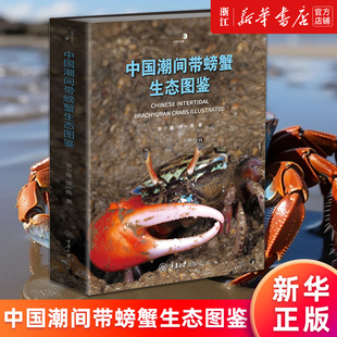 新华书店旗舰店官网 正版 中国潮间带螃蟹生态图鉴 徐一扬 书籍 张小蜂