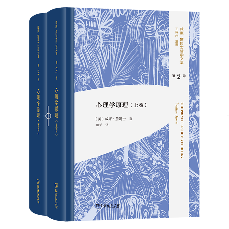 心理学原理:全两卷