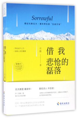借我悲怆的磊落
