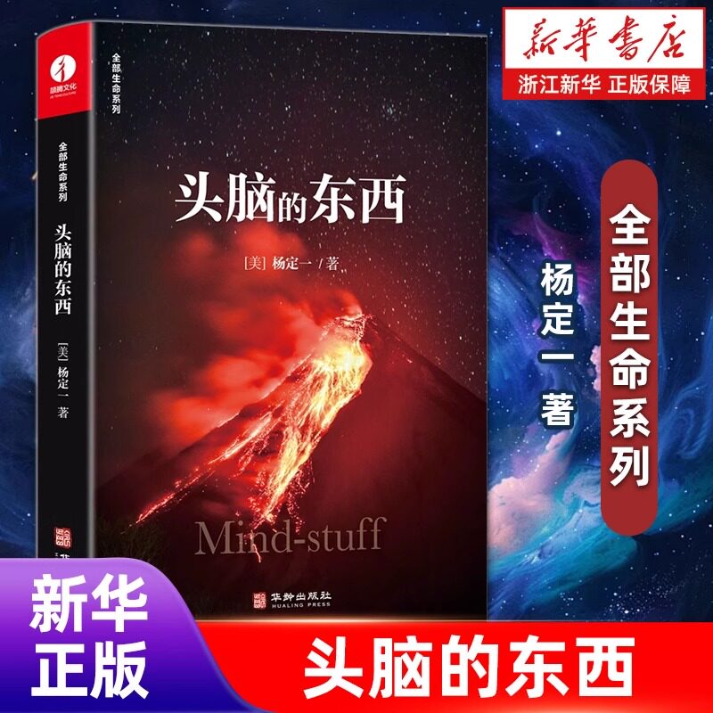 头脑的东西 杨定一的书好睡神圣的你真原医时间的陷阱静坐的科学转折点丰盛同作者书籍 新科学个人心灵成长心理励志颉腾