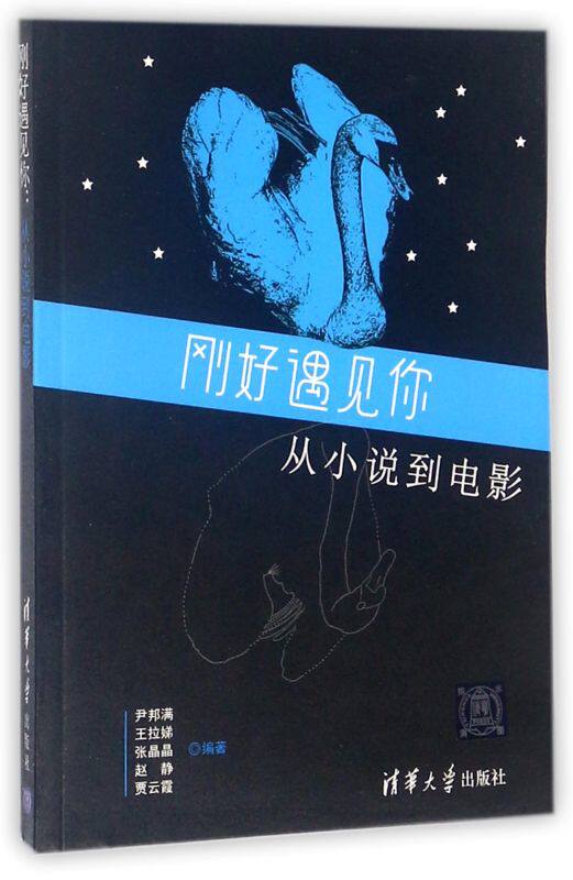 刚好遇见你(从小说到电影)