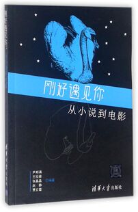 刚好遇见你(从小说到电影)