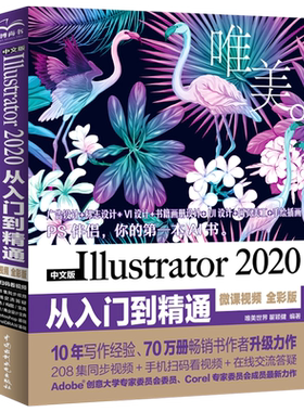 中文版Illustrator2020从入门到精通(微课视频全彩版)/唯美