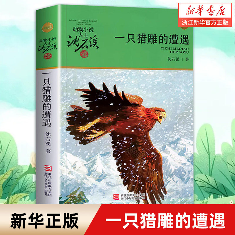 一只猎雕的遭遇 动物小说大王沈石溪品藏书系中小学生课外阅读书不带拼音儿童文学畅销书籍 浙江少年儿童出版社 新华书店正版