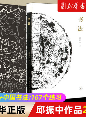 正版2册 书法+中国书法--167个练习(增订版书法技法的分析与训练) (一份关于书法的知识观念和深入途径的备忘录) 邱振中著