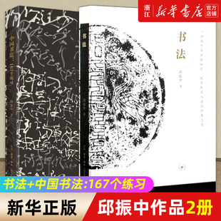 备忘录 中国书法 分析与训练 一份关于书法 167个练习 书法 增订版 书法技法 正版 邱振中著 知识观念和深入途径 2册