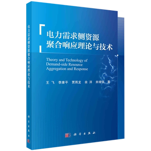 Demand Side 电力需求侧资源聚合响应理论与技术=Theory Aggregation Technology Resource Re... and