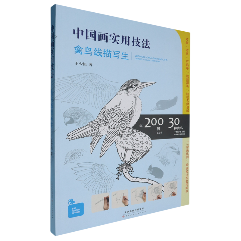 中国画实用技法:禽鸟线描写生