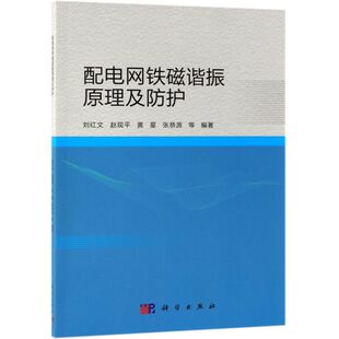 配电网铁磁谐振原理及防护