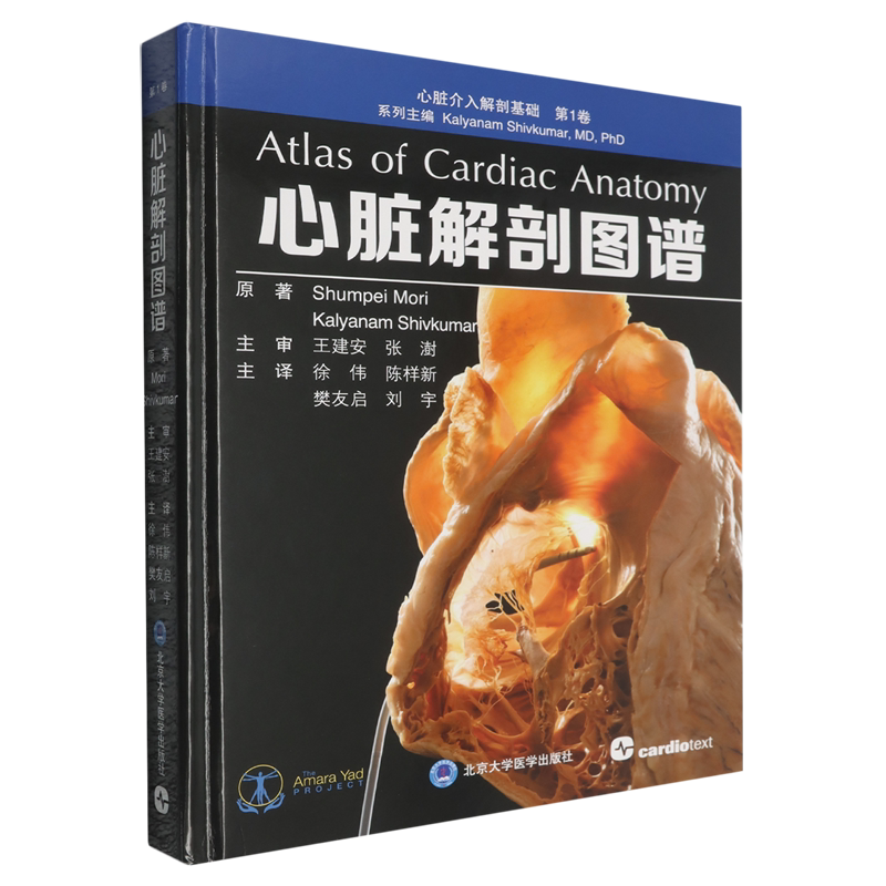心脏解剖图谱