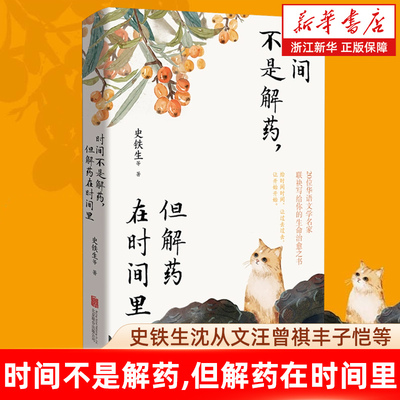 官方正版 时间不是解药,但解药在时间里 史铁生沈从文汪曾祺丰子恺梁实秋等20位文学名家写给你的生命治愈之书 名家散文集畅销书