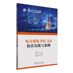 电力系统PSCAD仿真实践与案例