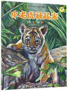 小老虎藏起来/保冬妮绘本珍兽馆硬壳绘本一二年级小学生课外阅读故事书图画书3-6岁学龄前儿童绘本幼儿园宝宝睡前故事书籍