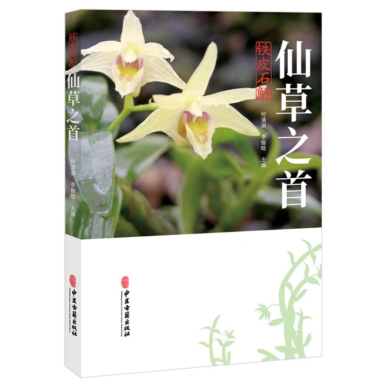 仙草之首:铁皮石斛