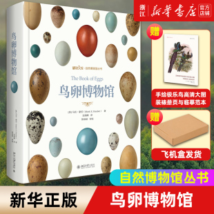 贈(zèng) 鳥卵博物館 飛機(jī)盒發(fā)貨 正版 自然博物館叢書 裱冊頁與臨摹范本 北京大學(xué)出版 社 包郵 贈(zèng)品 艾略特手繪極樂鳥高清大圖：裝