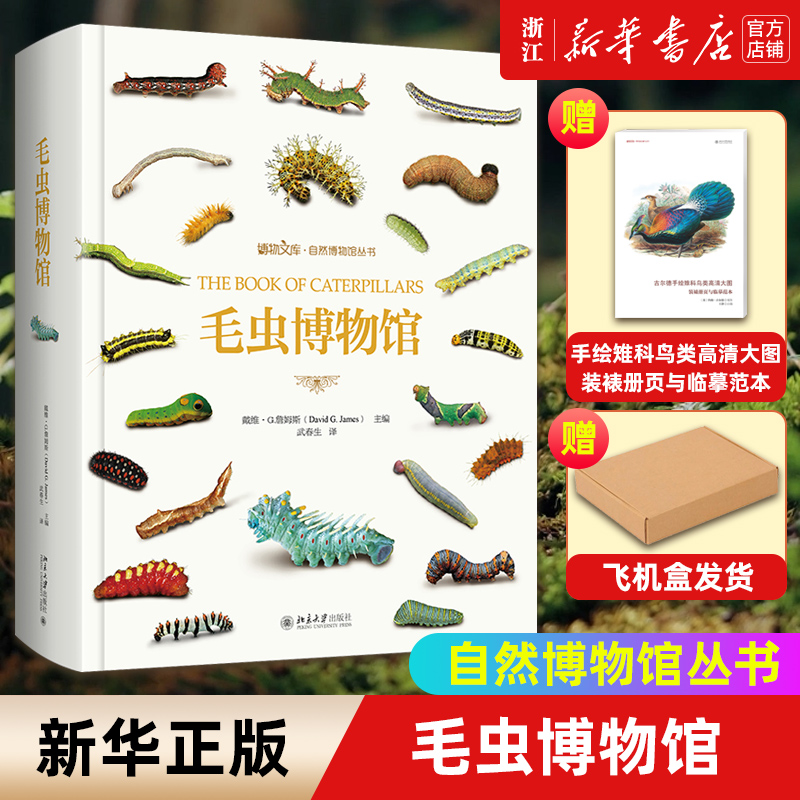 【飞机盒发货+赠品】毛虫博物馆  赠 古尔德手绘雉科鸟类高清大图：装裱册页与临摹范本 自然博物馆丛书 北京大学出版社 正版包邮