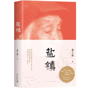 正版包邮 盐镇 易小荷著 中国乡镇女性的生活与命运的缩影 罗新梁鸿等赤诚推荐米格尔街乡下人的悲歌梁庄文化社会文学书籍新作惹作