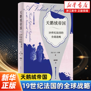 天鹅绒帝国 19世纪法国的全球战略 大卫托德 突破传统军事史观金融时尚文化法国近代史殖民研究 全球化世界通史 上海人民出版社