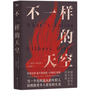 天空 彼得赫奇斯 守望者 新华书店旗舰店官网 文学小说畅销文学 现代麦田里 不一样 年轻人困境挣扎对抗与救赎 电影原著小说