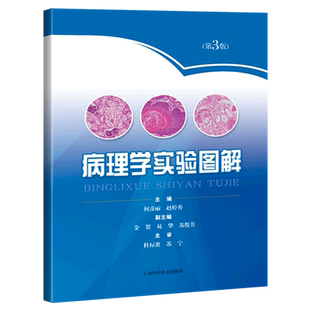病理学实验图解