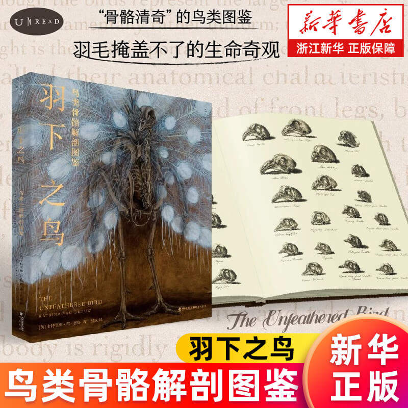 【新华书店旗舰店】正版 羽下之鸟 鸟类骨骼解剖图鉴 骨骼清奇的鸟类科普之书 罕见大胆的手绘骨骼插画+丰富前沿的鸟类学知识