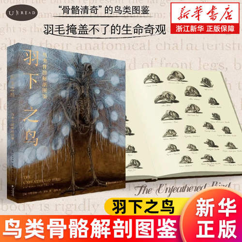 【新华书店旗舰店】正版 羽下之鸟 鸟类骨骼解剖图鉴 骨骼清奇的鸟类科普之书 罕见大胆的手绘骨骼插画+丰富前沿的鸟类学知识