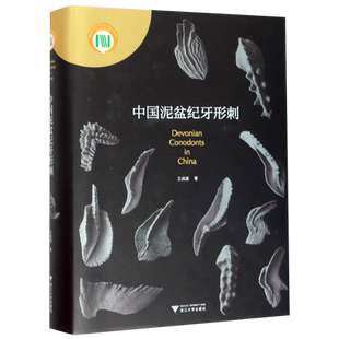 中国泥盆纪牙形刺(精)