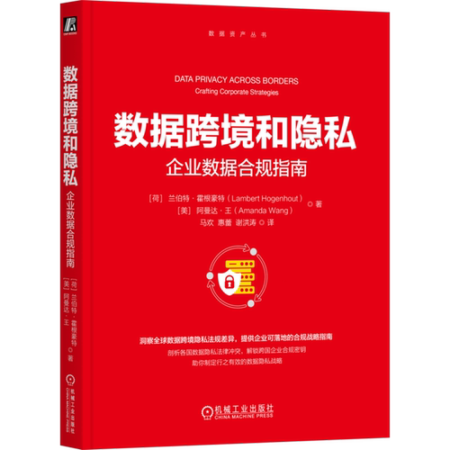 数据跨境和隐私:企业数据合规指南 兰伯特·霍根豪特 数据跨境合规 全球隐私法规 GDPR 企业数据战略 技术风险 数据安全