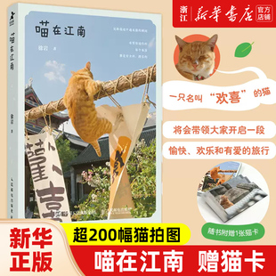【赠猫卡】喵在江南 徐岩 著 超200幅猫拍图 用镜头抓拍江南的家猫 野猫 一段放松自我 找寻人生意义的拍猫之旅 正版包邮