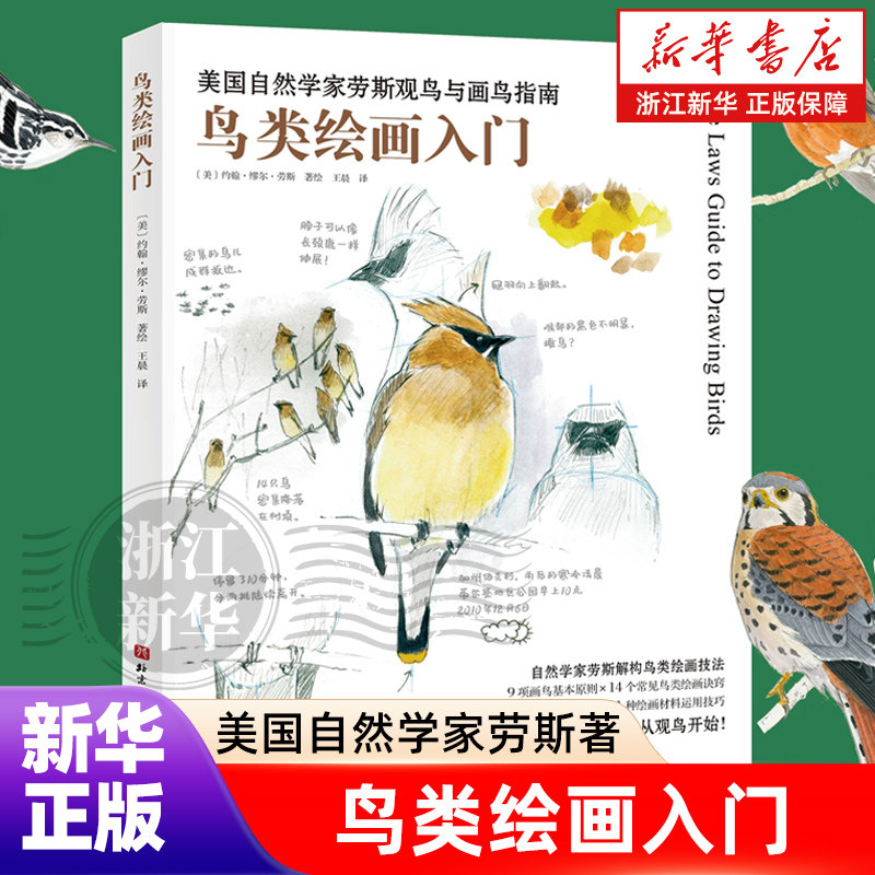 鸟类绘画入门 美国自然学家劳斯著 系统、科学且极具实用性的鸟类观察与科学插画指南 为观鸟爱好者和绘画入门者打造
