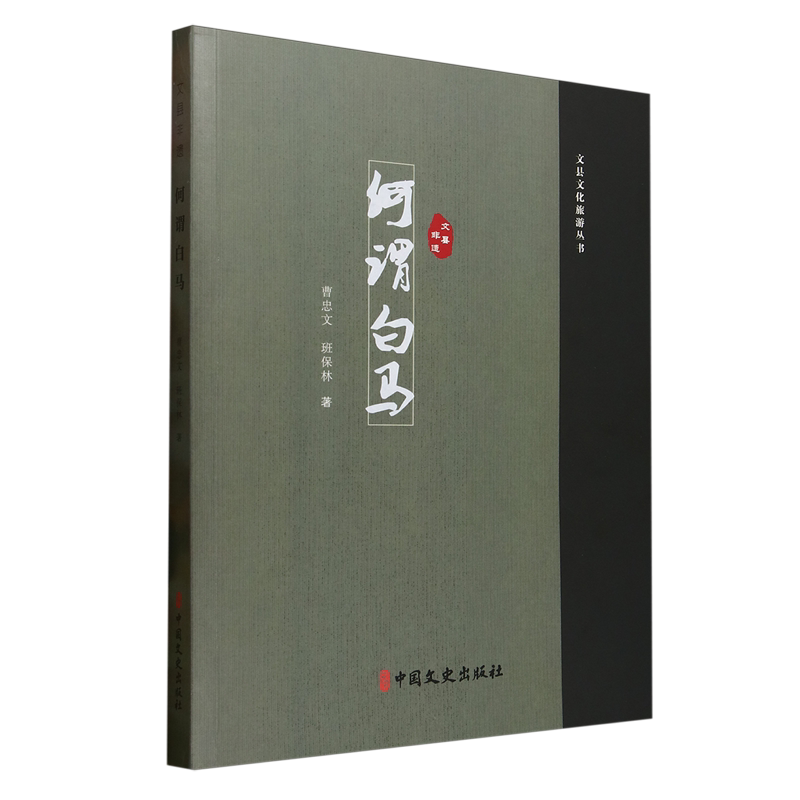 文县非遗:何谓白马