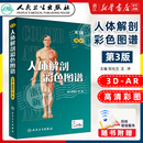 人體解剖彩色學(xué)圖譜 郭光文人衛(wèi)全彩正常肌骨功能系解系統(tǒng)解刨實(shí)用經(jīng)絡(luò)醫(yī)學(xué)影像肌肉模型解剖學(xué)圖書圖冊(cè)教材書圖解剖圖譜 第三版