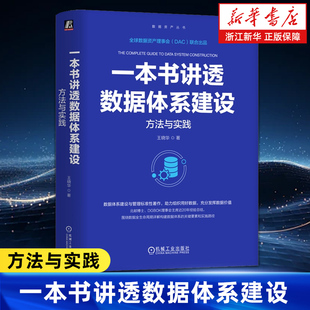 一本书讲透数据体系建设:方法与实践 王晓华 著 DGBOK理事会主席20年经验总结 CDO DAMA 数据 大数据 数据要素 数据资产