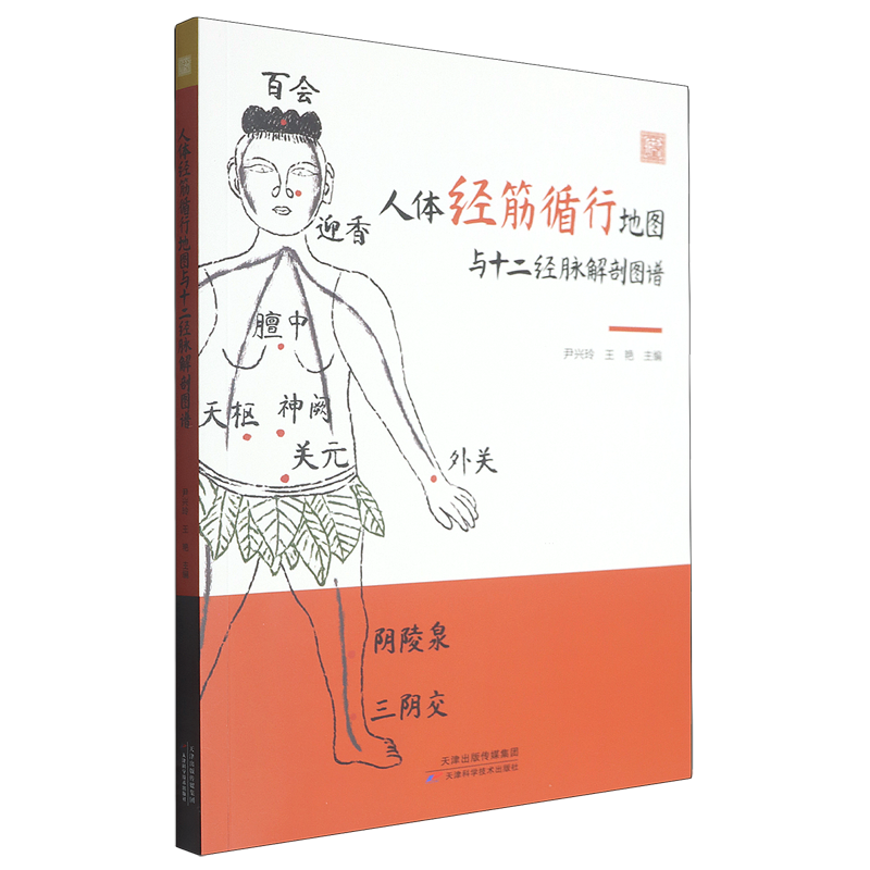 人体经筋循行地图与十二经脉解剖图谱
