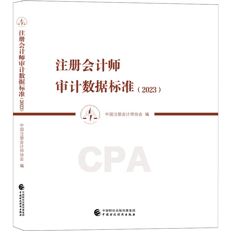注册会计师审计数据标准.2023