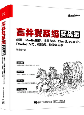 【官方正版】高并发系统实战派(集群 Redis 缓存 海量存储 Elasticsearch RocketMQ 微服务持续集成) API 运维 监控 电子社