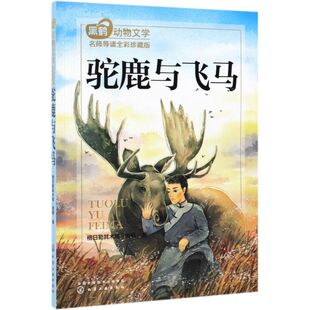 黑鹤动物文学名师导读 全彩珍藏版 驼鹿与飞马  中国教育报年度十大阅读推广人 沉砂 走进自然 补充精神钙质 经典儿童文学作品集