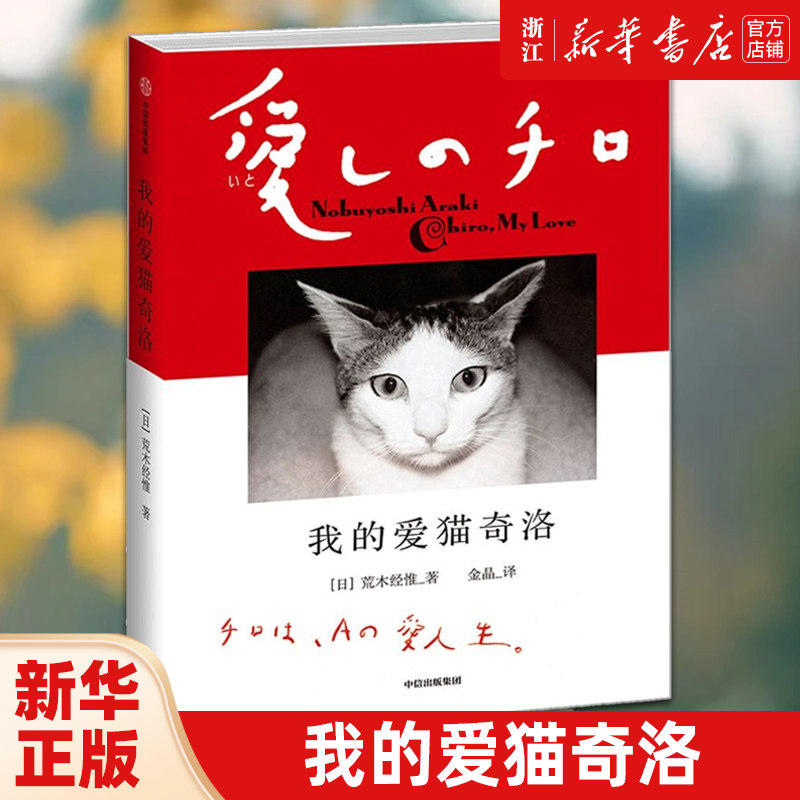 我的爱猫奇洛