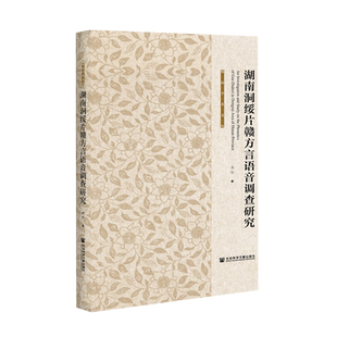 湖南洞绥片赣方言语音调查研究(精)/致远学术文丛