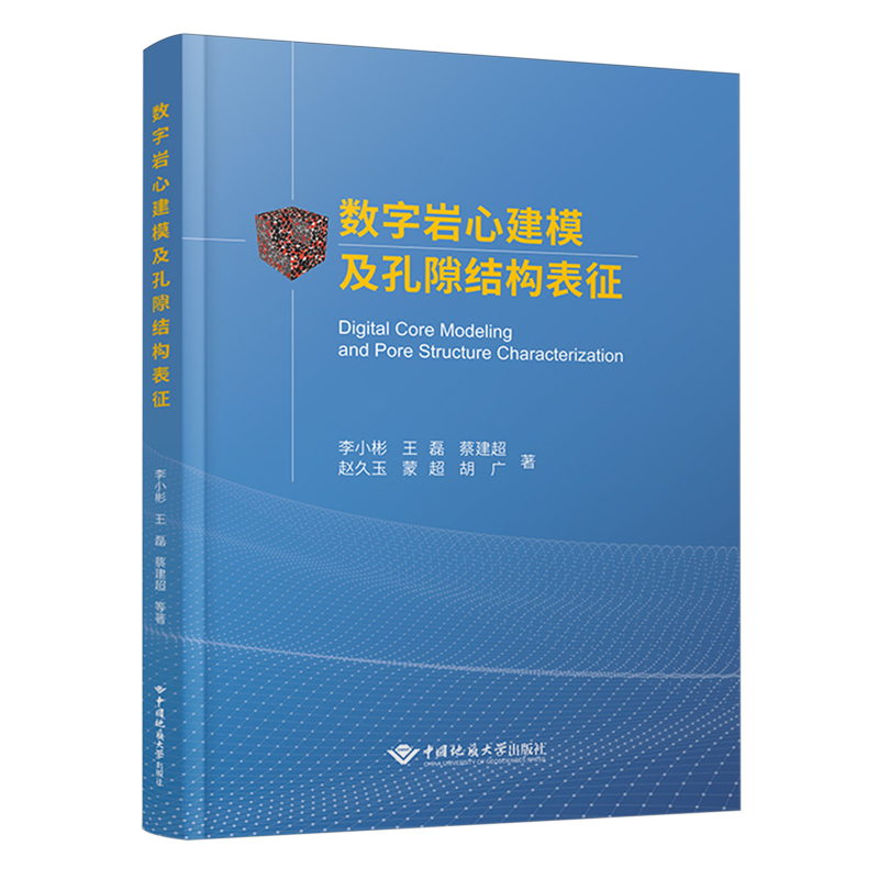 数字岩心建模及孔隙结构表征