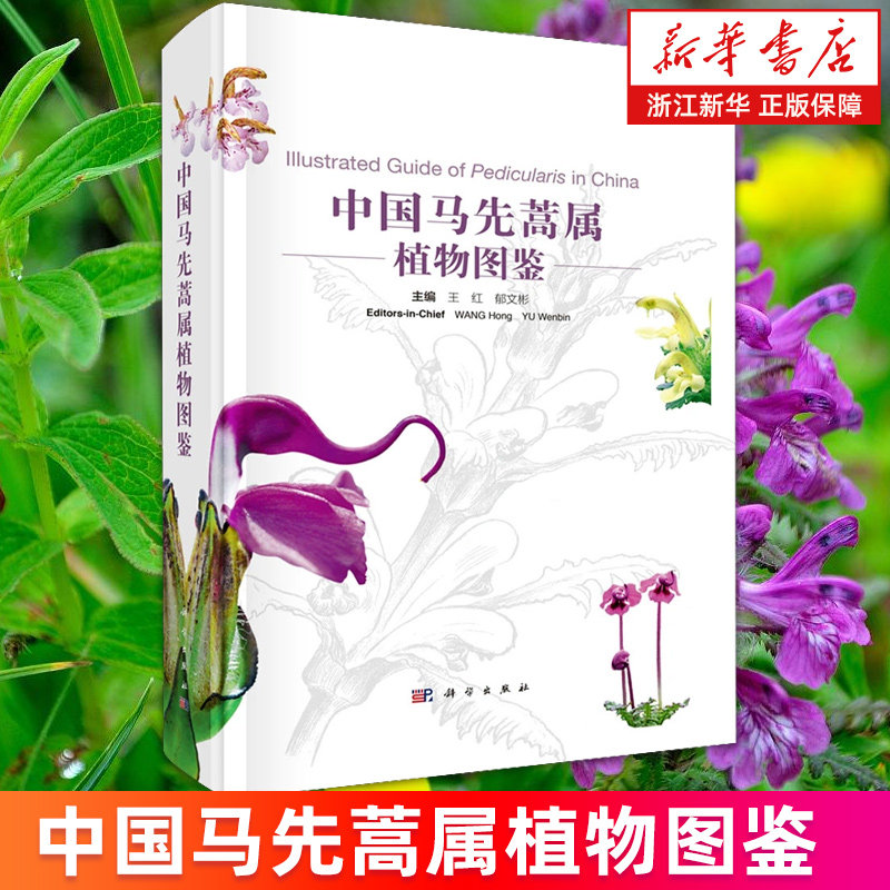 【新华书店旗舰店】中国马先蒿属植物图鉴 王红//郁文彬 关于植物的书科普读物植物生物学自然科学植物学图书籍 正版