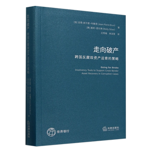 走向破产:跨国反腐败资产追查的策略