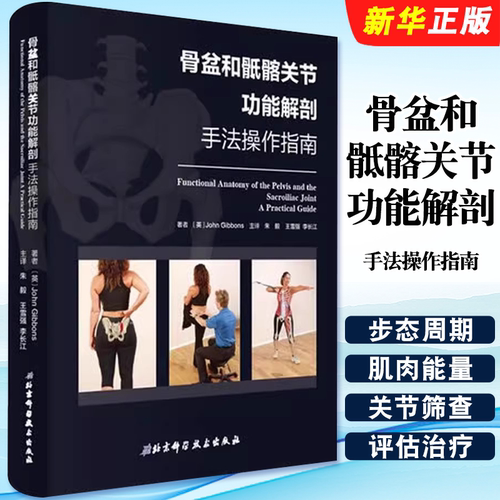 骨盆和骶髂关节功能解剖