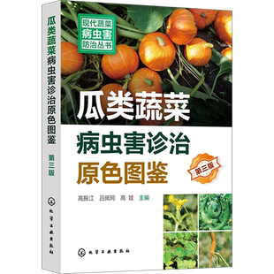 新型生物菌剂绿色防控 瓜类蔬菜病虫害诊治畅销书再版 虫害防治参考书 瓜类蔬菜病虫害诊治原色图鉴第三版 现代蔬菜病虫害防治丛书